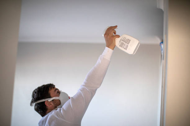 Best Office Mold Removal Services  in Eureka Mill, SC